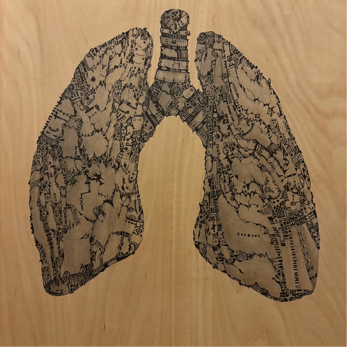 05 Mummifying Lung